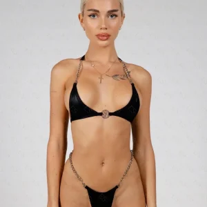 Paloma 4
